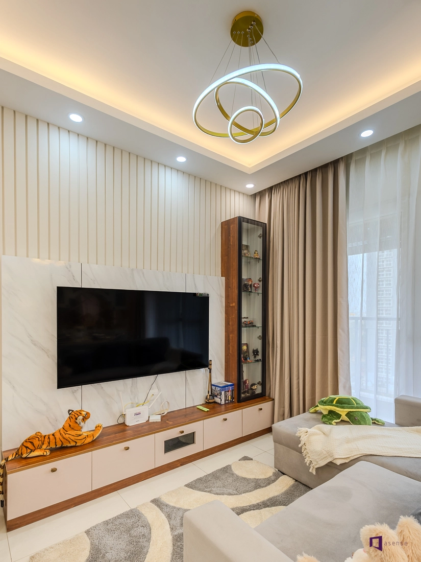 TV Unit